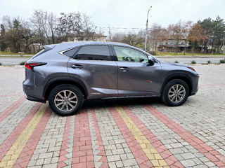 Lexus NX Series foto 7