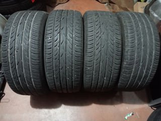 225 50 R17 Platin de vara  foto 0
