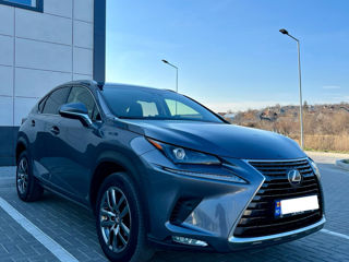 Lexus NX Series foto 1