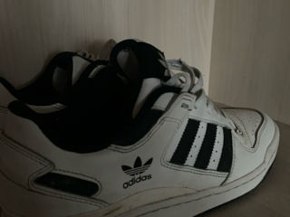 Adidas Forum foto 2