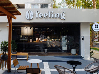 Deschide propriul Feeling Coffee