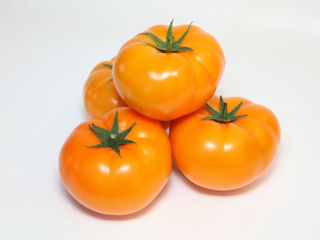 Yamamoto (KS 10) F1  ранний крупноплодный высокопродуктивный томат