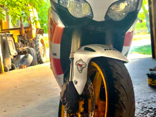 Honda Cbr 1000 sc59 foto 3