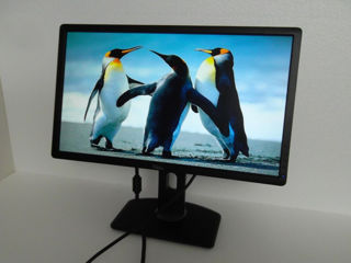 Monitor DELL P2412H foto 3