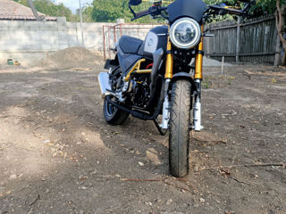 Wolf Motors Scrambler foto 3