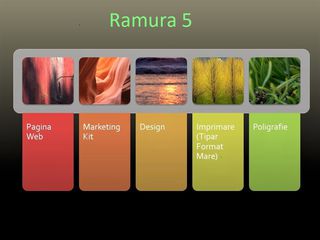 Colaborare inițierea contabilitate promovarea dezvoltarea afacerii  management financiar Ramura 5 foto 3
