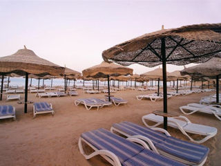 Cyrene Sharm ( Adult Only 13+ ) 4*. Шарм эль Шейх !!! foto 6