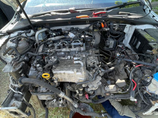 Motor 1.6 tdi volkswagen golf