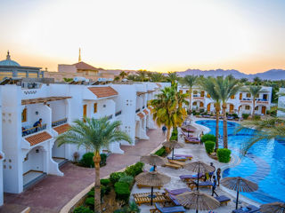 Dive Inn Resort 4* - Египет, Шарм-Эль-Шейх
