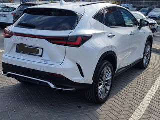 Lexus NX Series foto 5