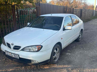 Nissan Primera