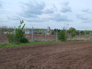 Продается земельный участок на берегу реки Днестр 0.1799 ha foto 6