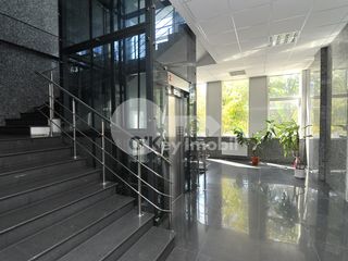 Sp. Comercial spre chirie, 470 mp, euroreparație, 5600 € ! foto 2