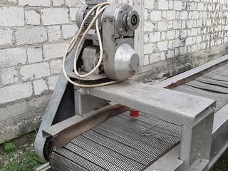 Оборудование по удалению черенков из вишни черешни,и транспортер для переборки вишни. foto 4