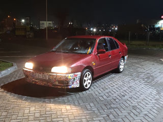 Nissan Primera foto 4