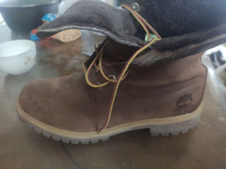 Ca noi. Timberland