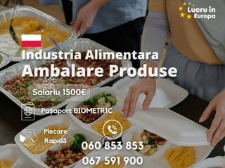 consultareue