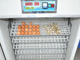 incubator automat 1584 oua gaina la doar 3800 lei foto 6