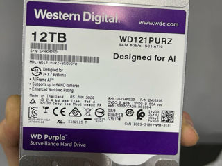 Wastern Digital 12Tb