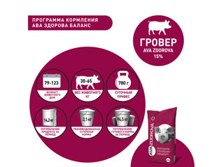 SPMV pentru porci AVA ZDOROVA GROVER 15%. 25kg foto 6