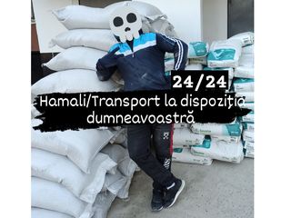 Грузчики / Hamali rapizi și atenți