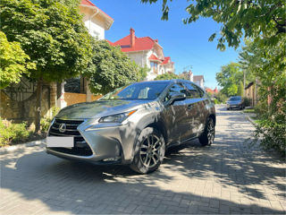 Lexus NX Series