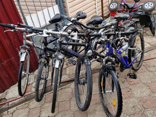 Biciclete aduse din Germania