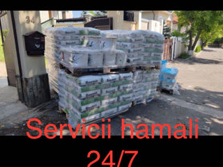 Hamali operativi 079216288 foto 2