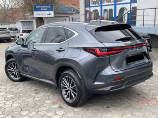 Lexus NX Series foto 3