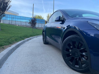 Tesla Model Y foto 7