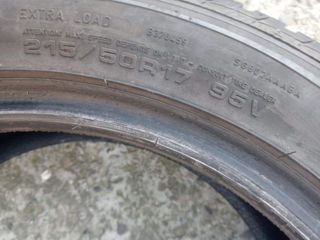 215 50 R17 Sava (Goodyear) de iarna foto 5