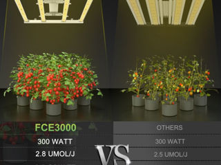 Светодиодный 300вт светильник для выращивания растений,LED Grow Light, foto 3