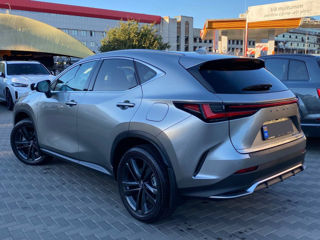 Lexus NX Series foto 5