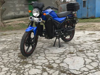 Viper Zs50f