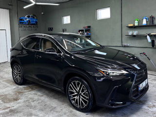 Lexus NX Series