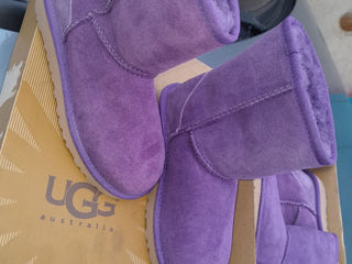 Ugg Australia Оригинал foto 9