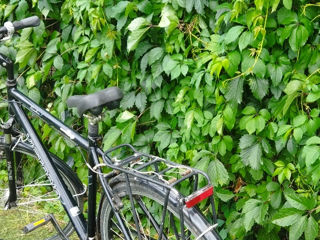 Se vinde bicicletă urgent foto 2