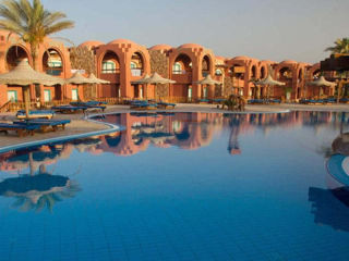 Замечательные пляжи  Marsa Alam! Тур в  Swisstouches Oriental Resort & Spa Marsa Alam 4* foto 5