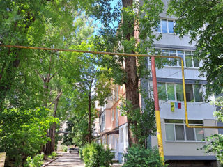 1-rm apt., 33 м², 4/5 fl.