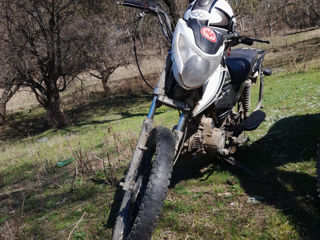 Alpha Moto