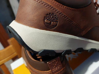 Timberland foto 4