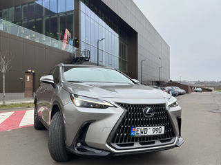 Lexus NX Series