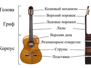 Ремонт и отстройка гитар!!!