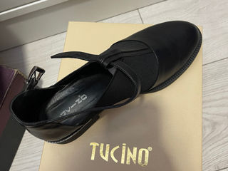 Tucino