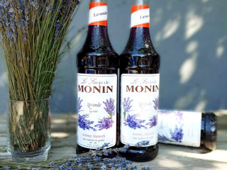 Sirop de Lavandă Monin Lavender 700 ml Dulce-Floral Livrare Moldova foto 3