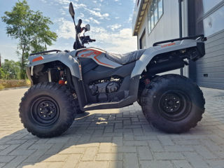 Loncin Xwolf 300 foto 15