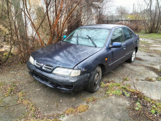 Nissan primera 1998 piese diesel Almera Sunni tot este foto 2