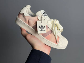 Adidas Superstar Cappucino Pink foto 7