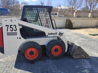 Bobcat foto 7