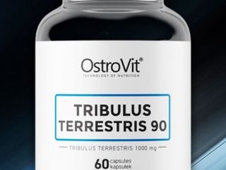 Tribulus terrestris 90